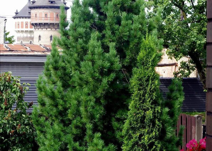 Villand With Free Private Parking And Self Check In 게스트하우스 2*