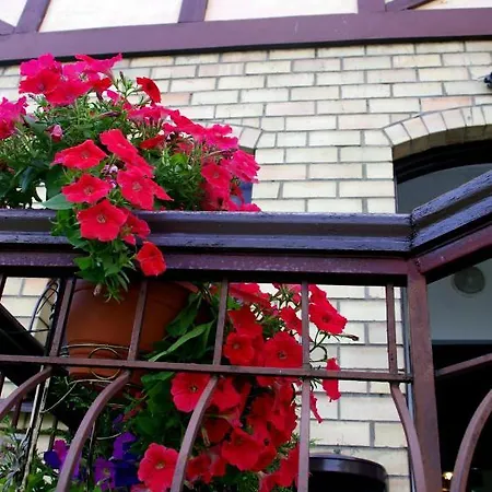 Villand With Free Private Parking And Self Check In Гостьовий будинок 2*