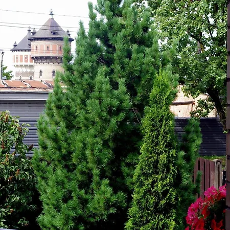 Villand With Free Private Parking And Self Check In Guest house 2*