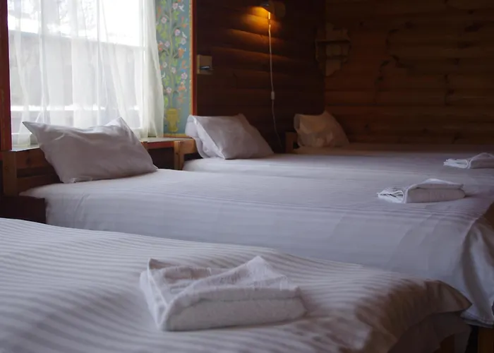 Πανσιόν Villand With Free Private Parking And Self Check In 2*